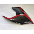 Carbonvani - Ducati Panigale / Streetfighter V4 / V2 / S / R / Speciale Carbon Fiber Tail - RED.2 - Road Version Carbonvani - Ducati Panigale / Streetfighter V4 / V2 / S / R / Speciale Carbon Fiber Tail - RED.2 - Road Version